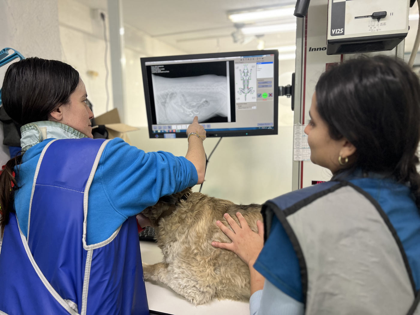 Diagn&oacute;stico por Imagen